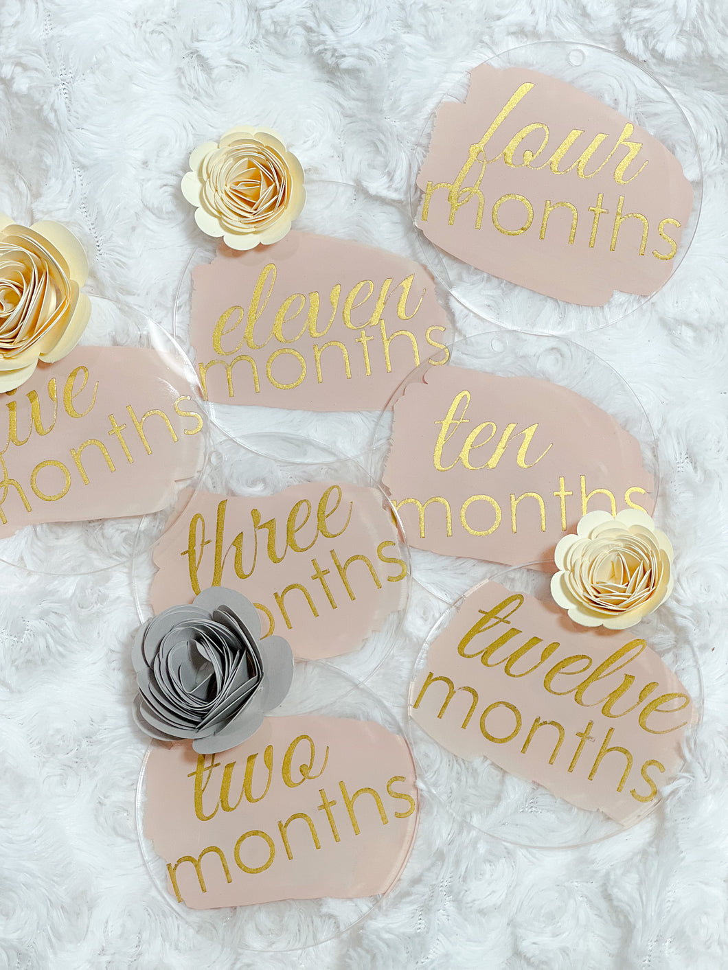 Monthly Acrylic Baby Milestone Discs